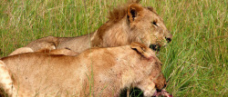 Day 3 图片 1