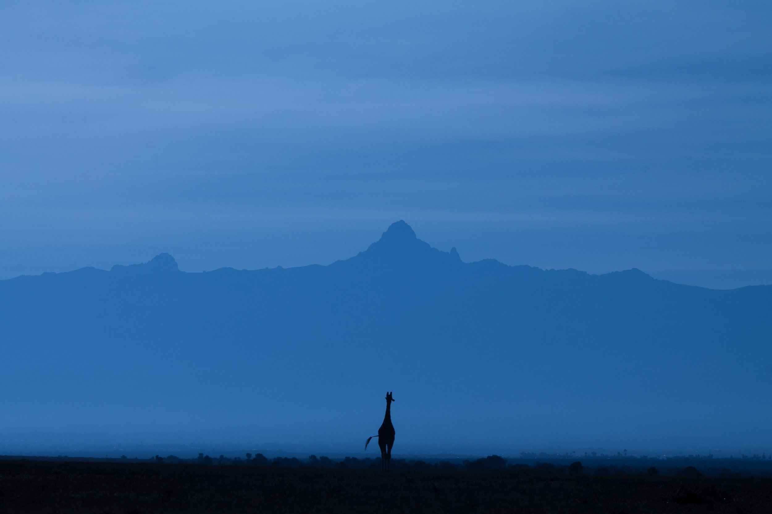 3-Day Amboseli National Park from Nairobi 