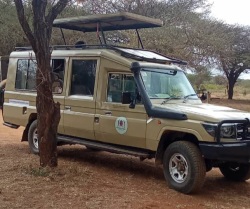 Day 1 图片 2