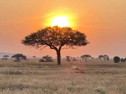 4-Day Tanzania Wildlife Safari – Group Joining Safari