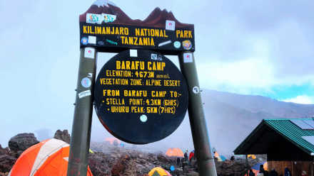 5 Days - Kilimanjaro Climbing Via Marangu Route