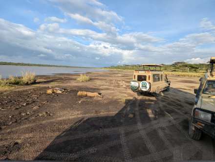 4 Days Tanzania Group Sharing Safari