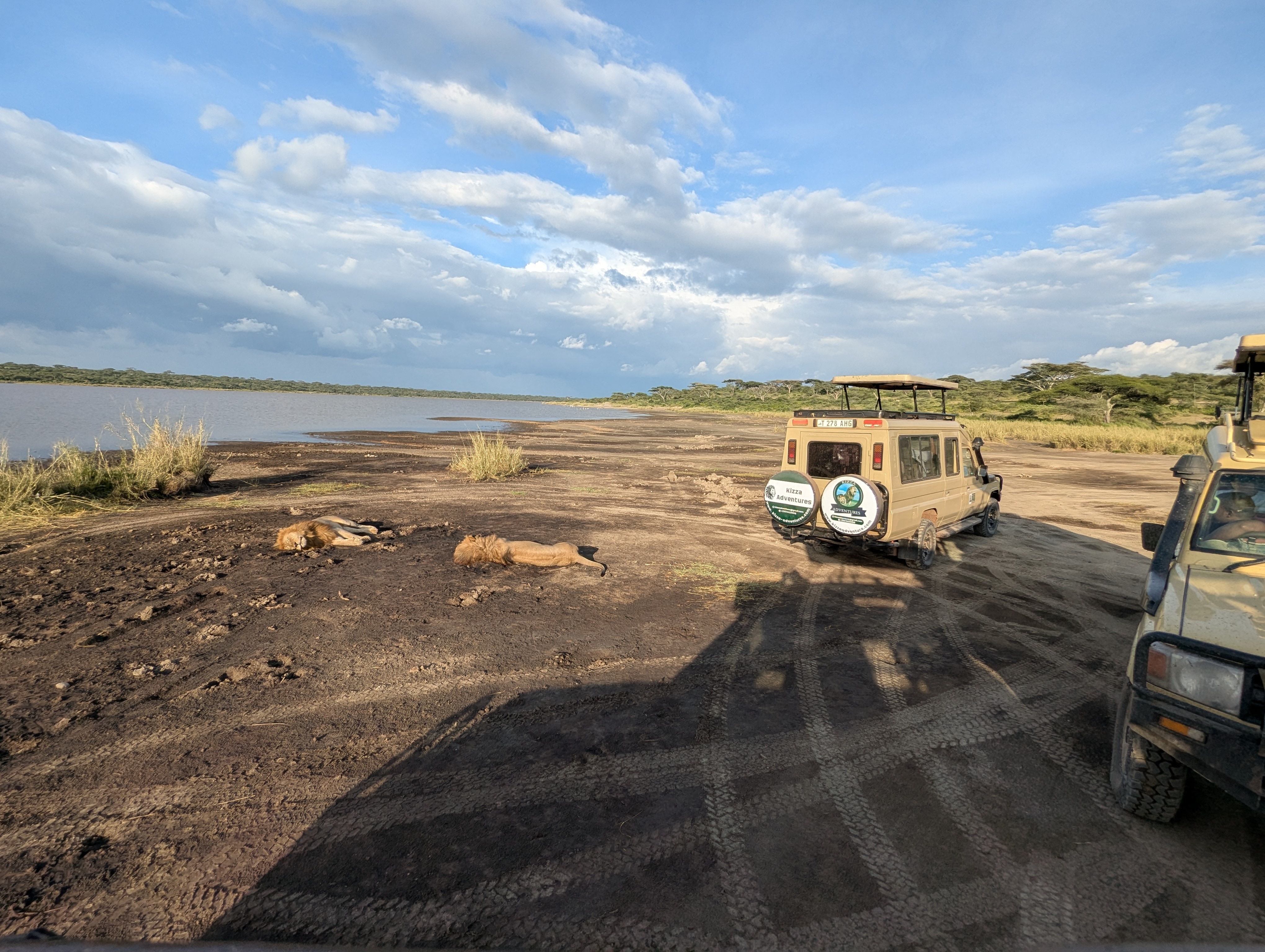 4 Days Tanzania Group Sharing Safari