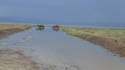 Day 3 Photo 2