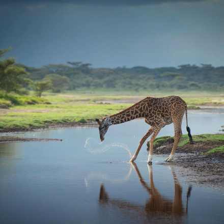 2 Days – Ngorongoro Crater and Cultural Experience