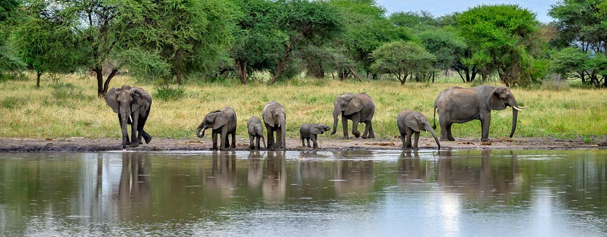 3-Day Night gamedrive in Tarangire National Park and Cultural Experience