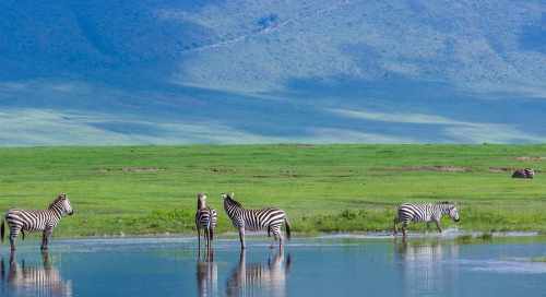 3-Day Budget Tarangire Ngorongoro and Culture Experience