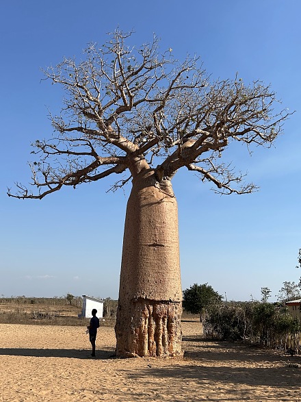 Mangily Village