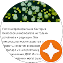 Нипах Вирусолог