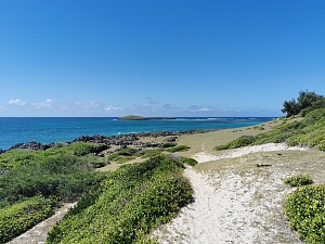 鸽子湾 4