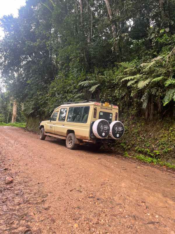 Vehicle used