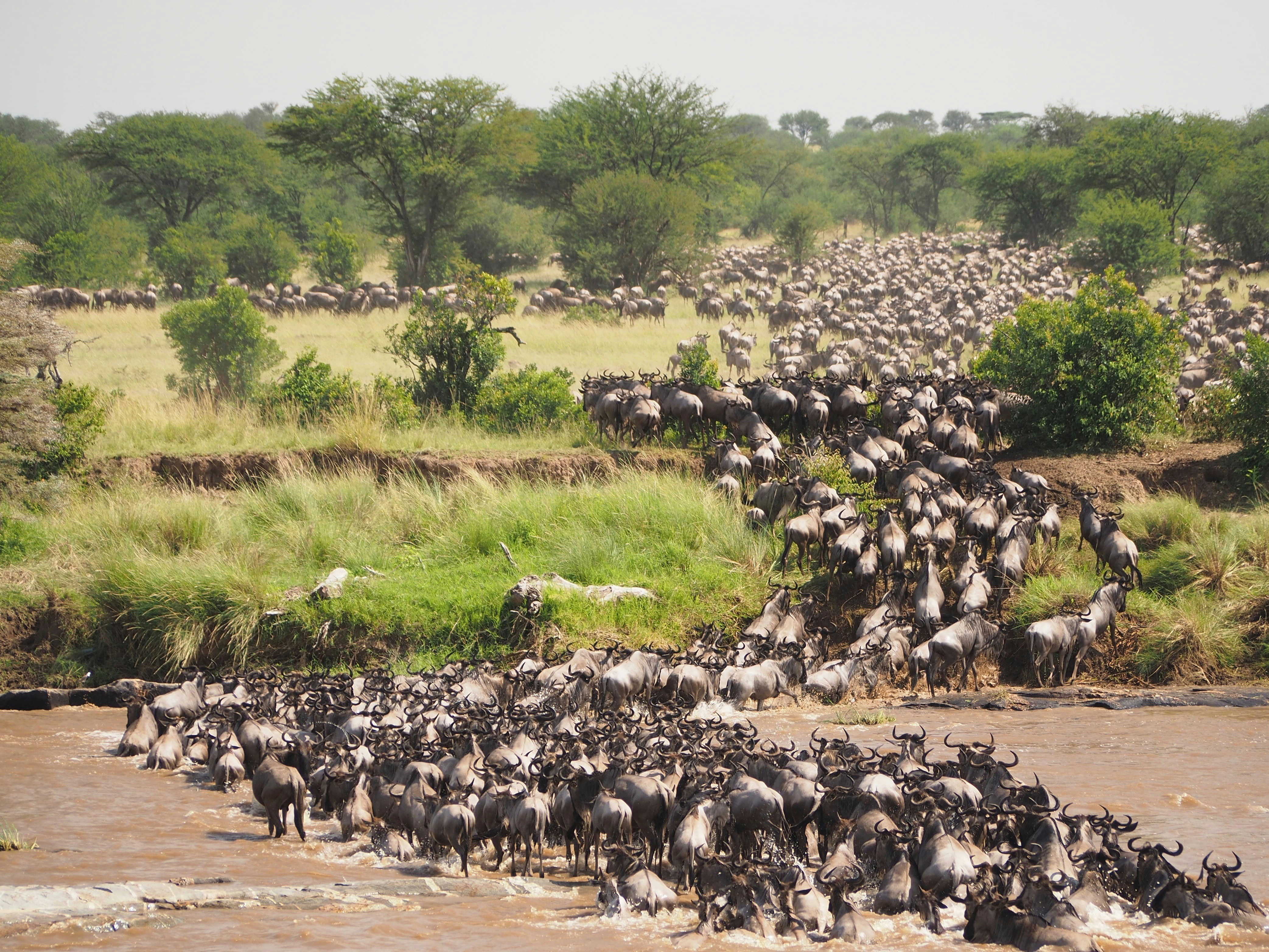 3-Day The Great Mara